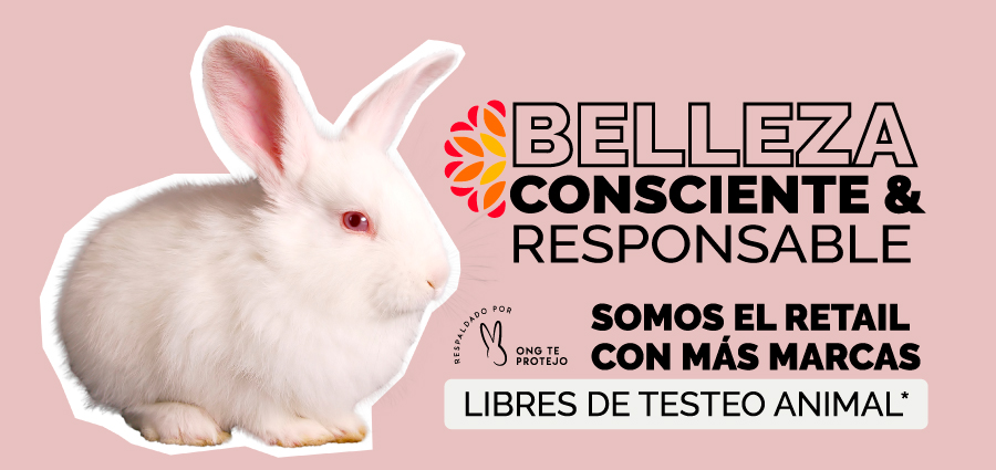N°1 retail con marcas CF